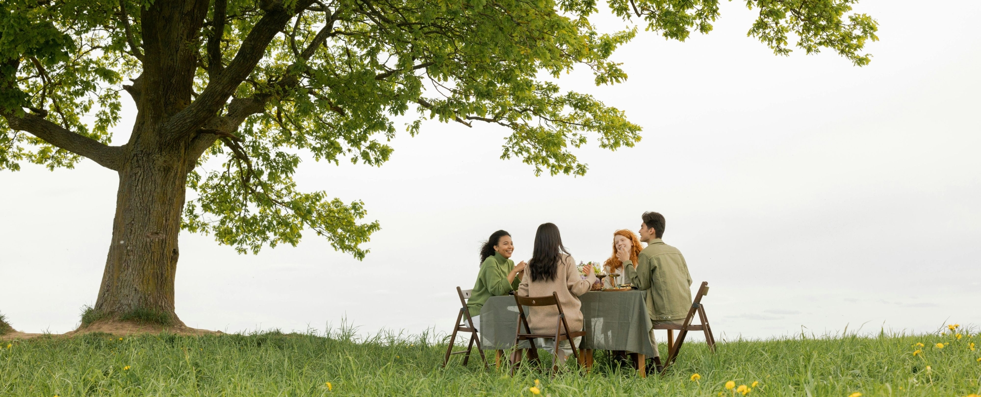 Vier Personen sitzen am Tisch in der Wiese unter einen Baum und trinken Goldeck Sekt